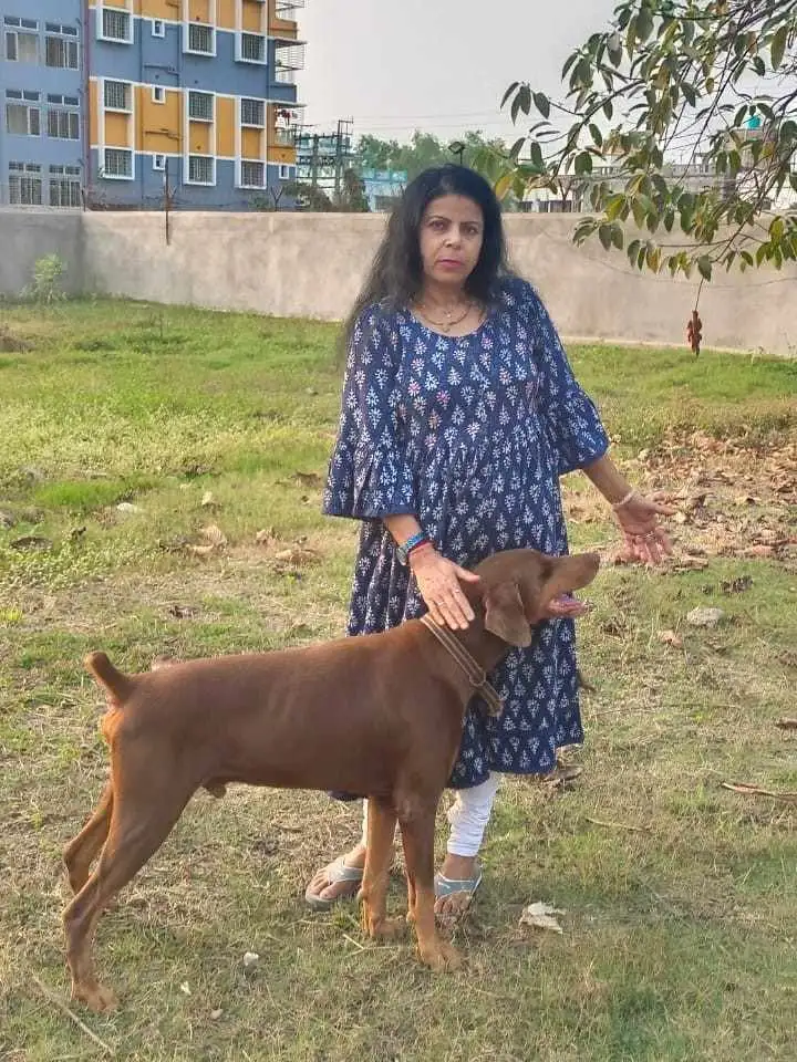 Animal welfare moment 6